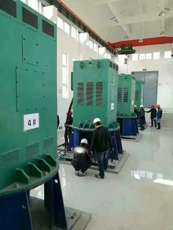 锦江某污水处理厂使用我厂的立式高压电机安装现场