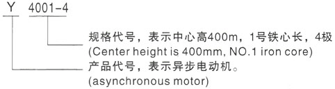 西安泰富西玛Y系列(H355-1000)高压锦江三相异步电机型号说明